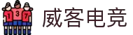 威客电竞 - 智者竞巅,慧赢天下